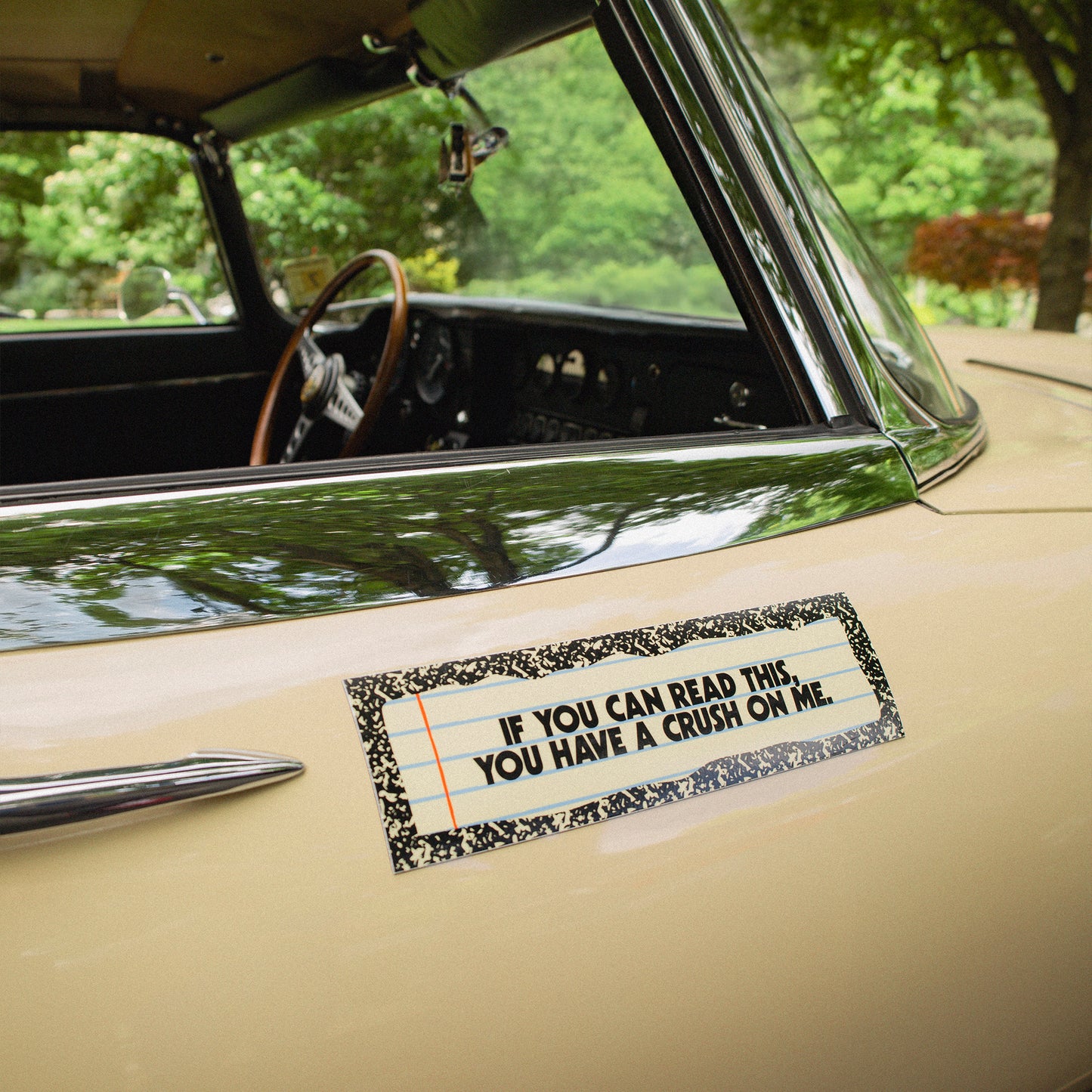 Crush On Me Car Magnet