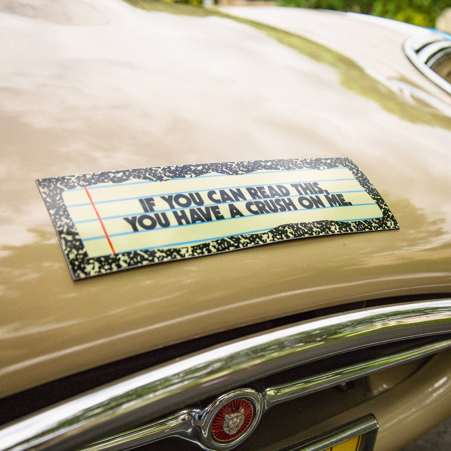 Crush On Me Car Magnet