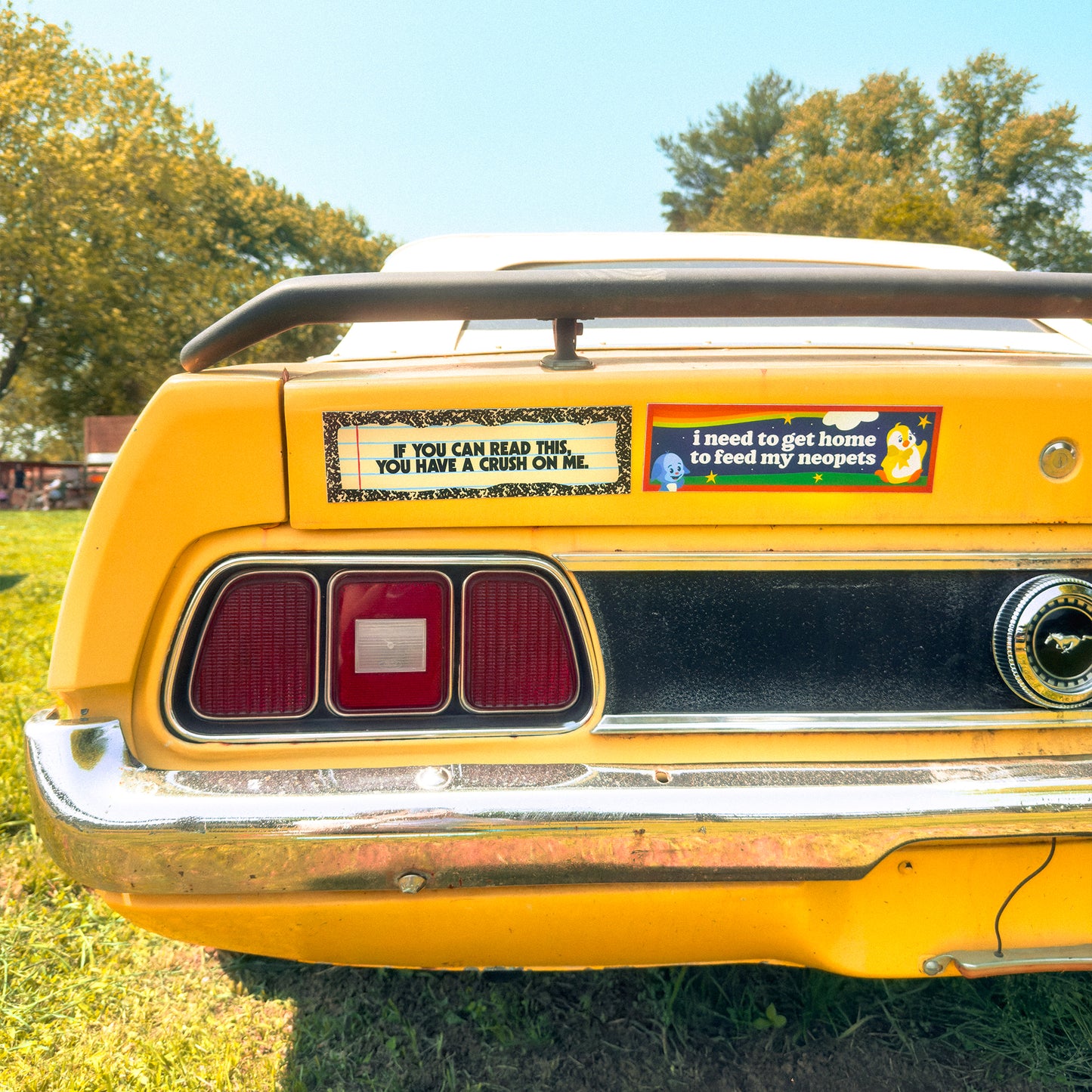 Neopets Car Magnet