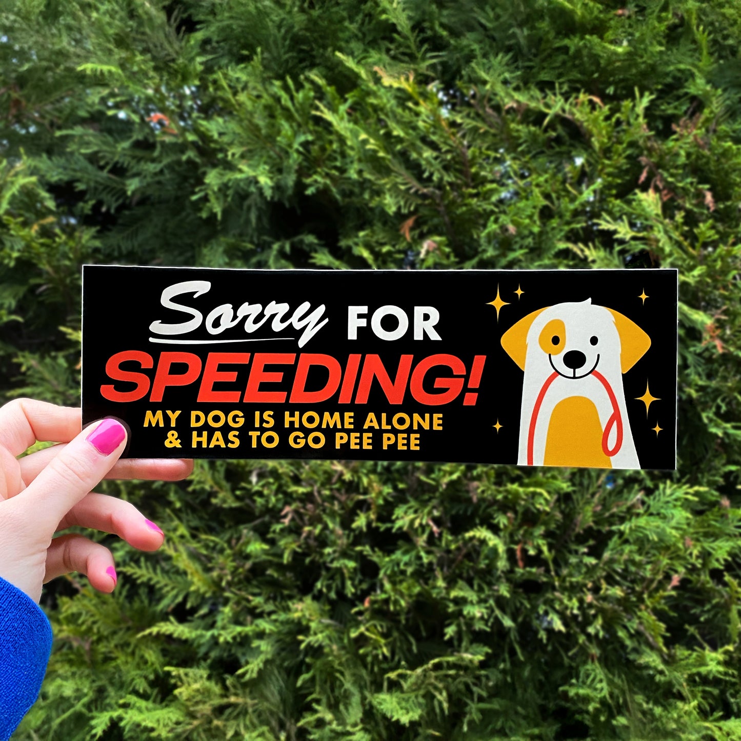 Sorry For Speeding Dog & Cat Bumper Sticker