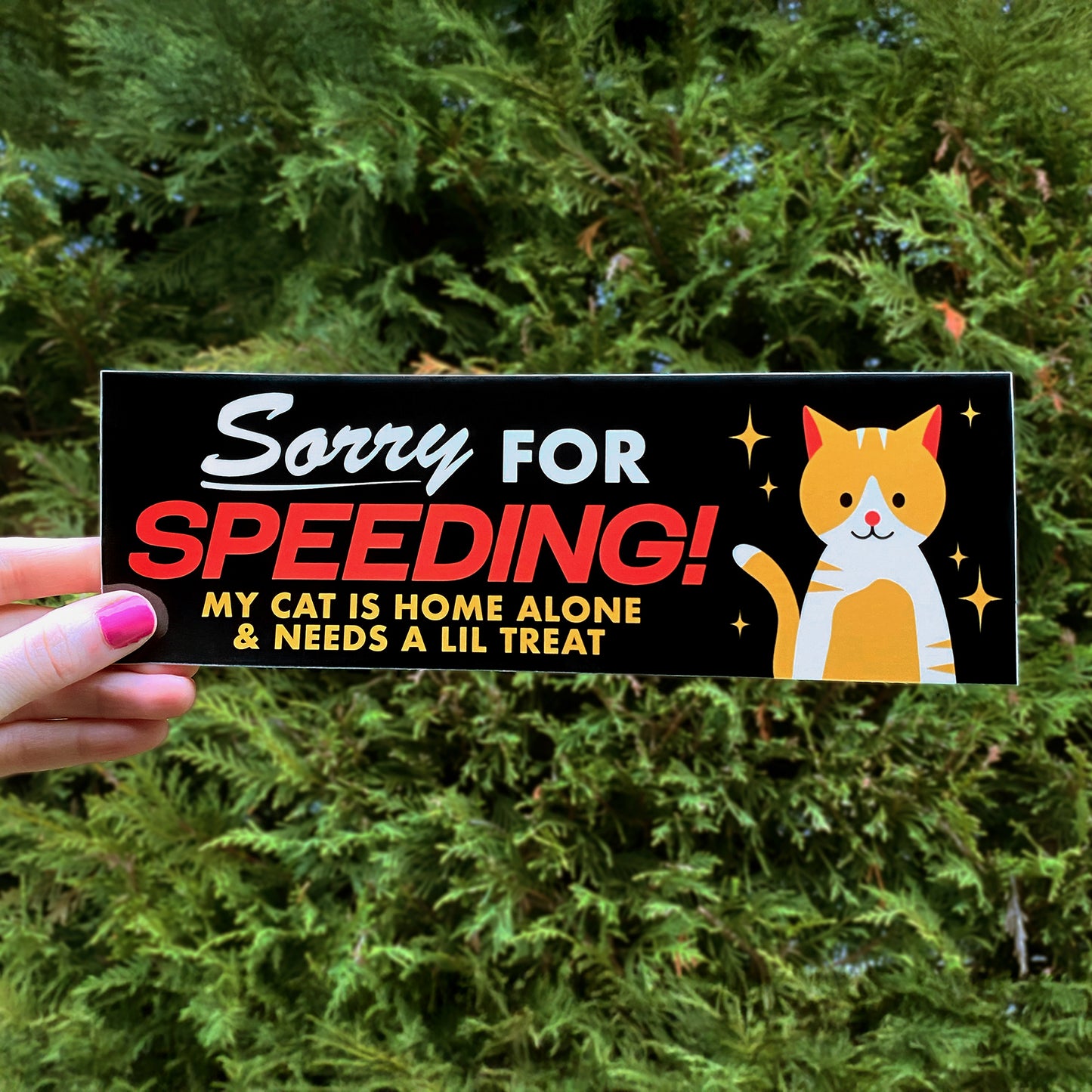 Sorry For Speeding Dog & Cat Bumper Sticker