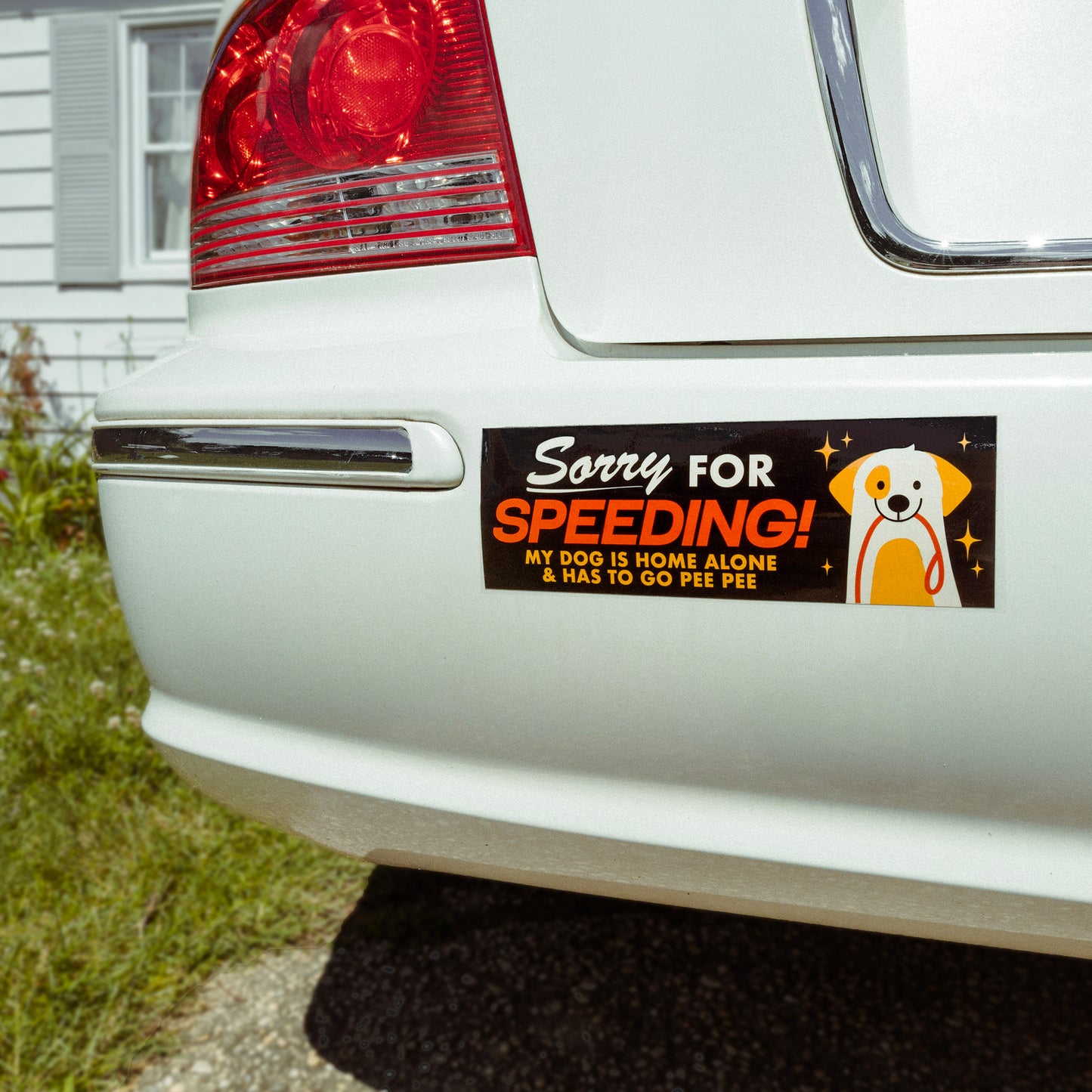 Sorry For Speeding Dog & Cat Bumper Sticker