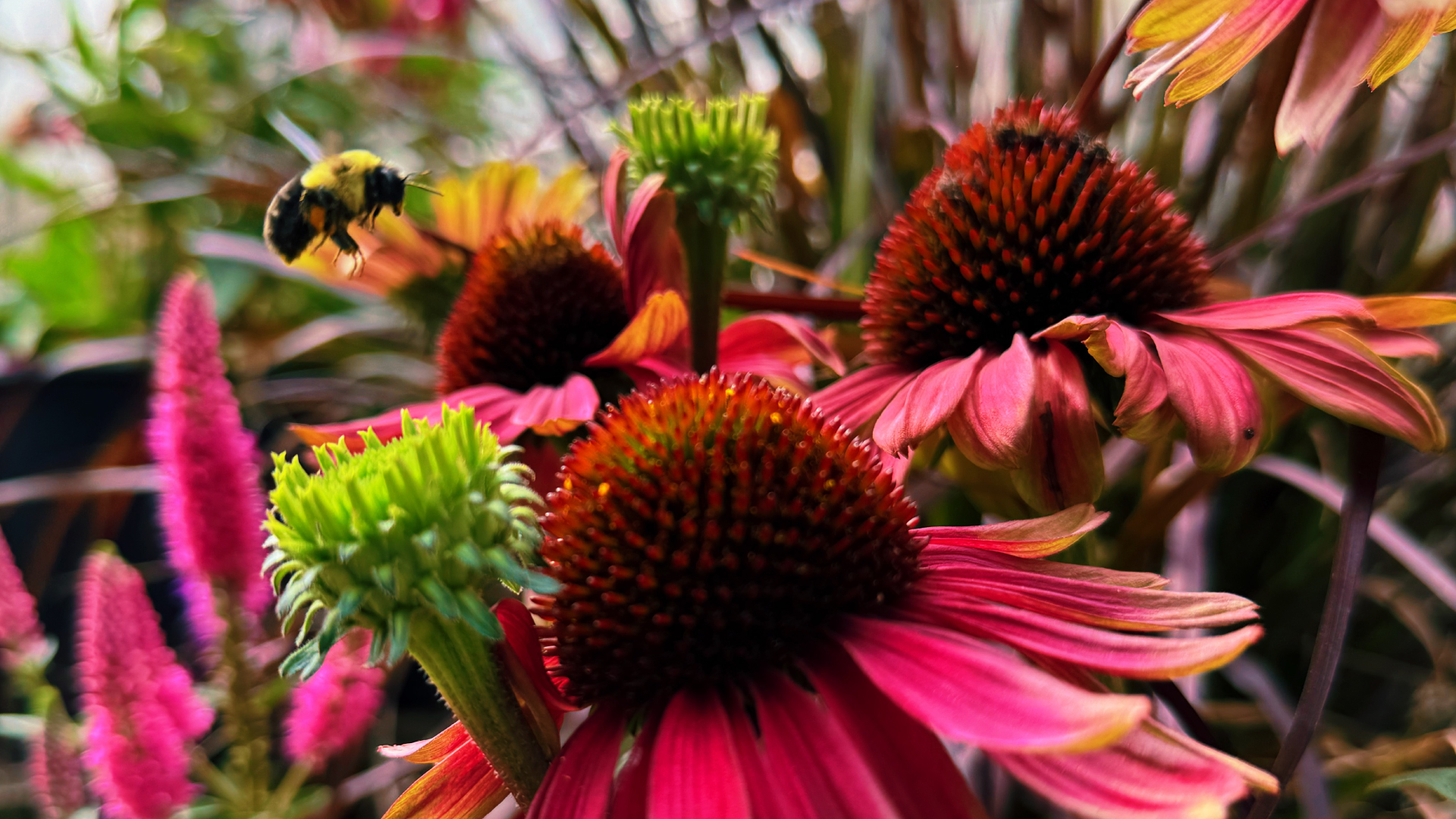 Autumn Garden Style