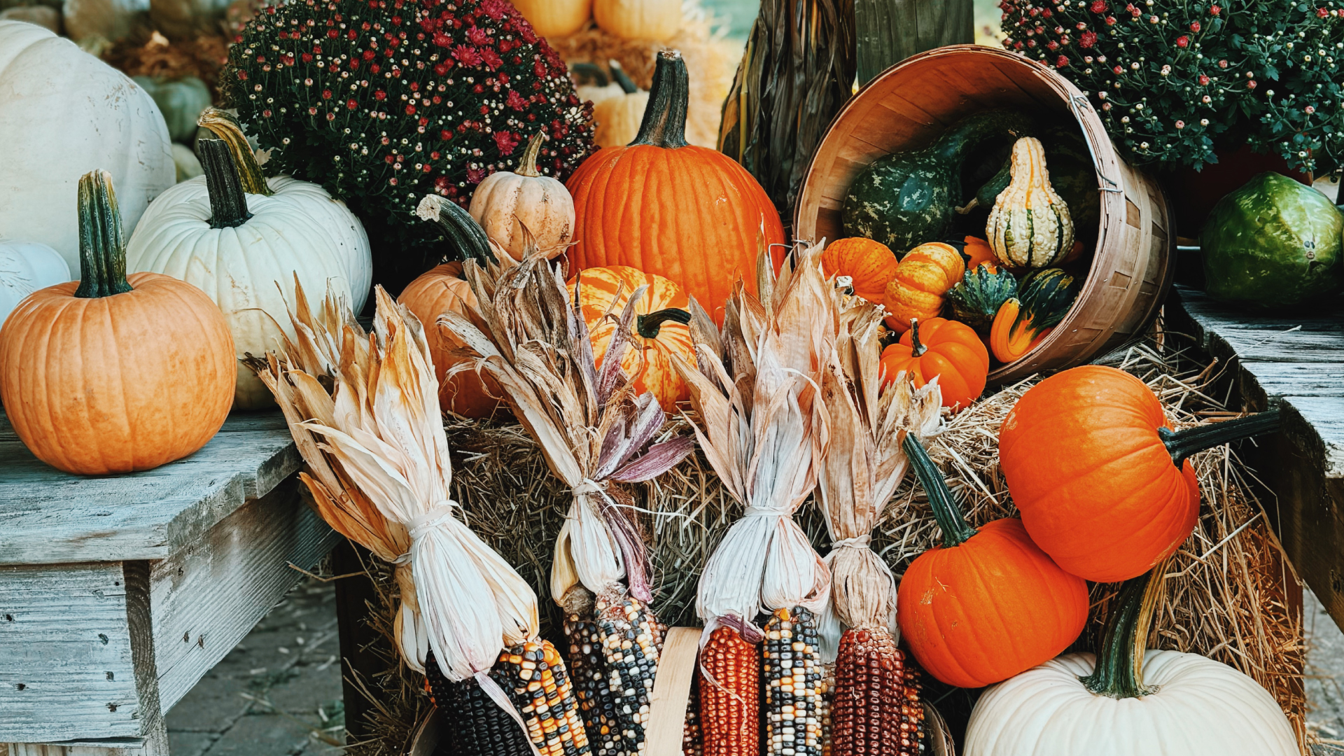 Pick Pumpkins Together